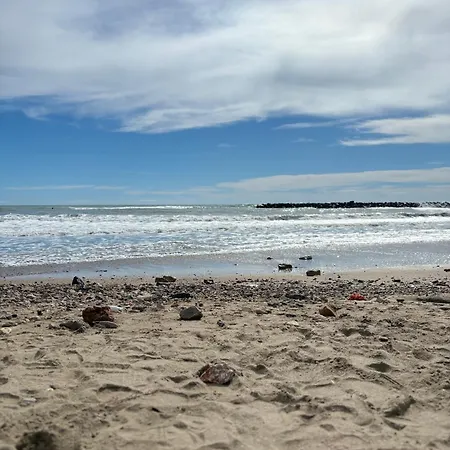 Vintage De 54m2 Avec Terrasse De 37m2 Vue A Appartement